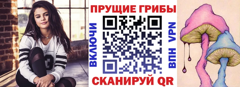 Псилоцибиновые грибы MAGIC MUSHROOMS  где купить наркотик  Юрга 